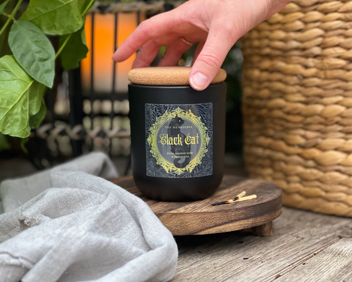 Black Cat - Plum, Jasmine Noir & Patchouli Candle