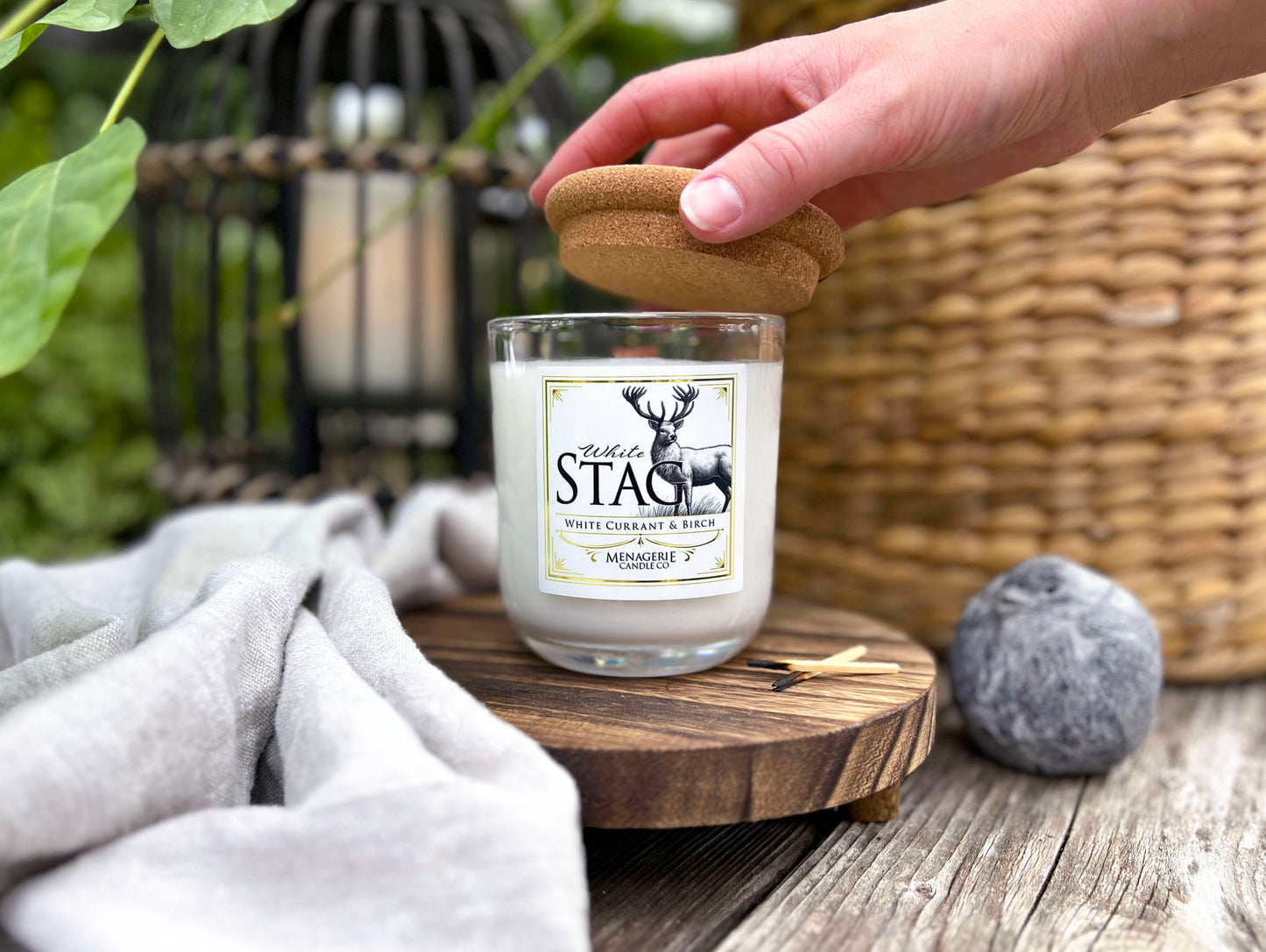 White Stag - White Currant & Birch Candle